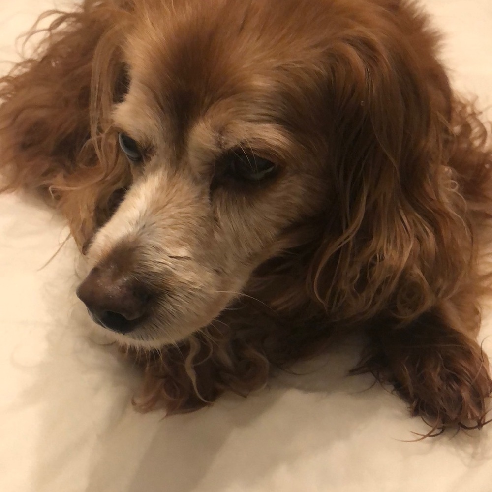 Meet your Posher, Maureen